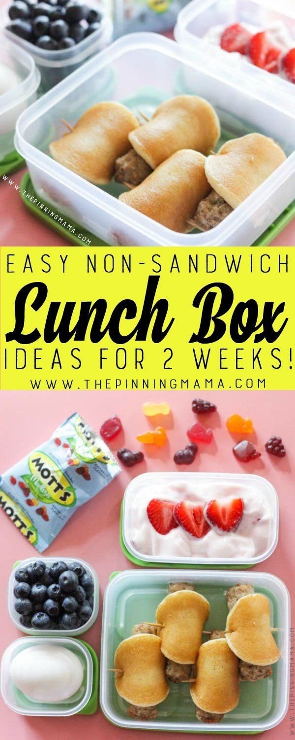 10 Elegant Cold Lunch Ideas For Kids At School 2023