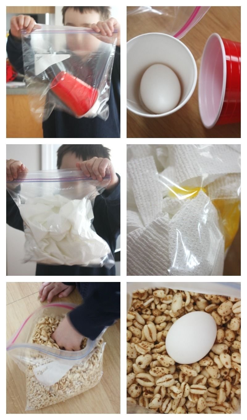 10 Perfect Easy Egg Drop Project Ideas egg drop activity and classic stem challenge for kids egg drop 2022