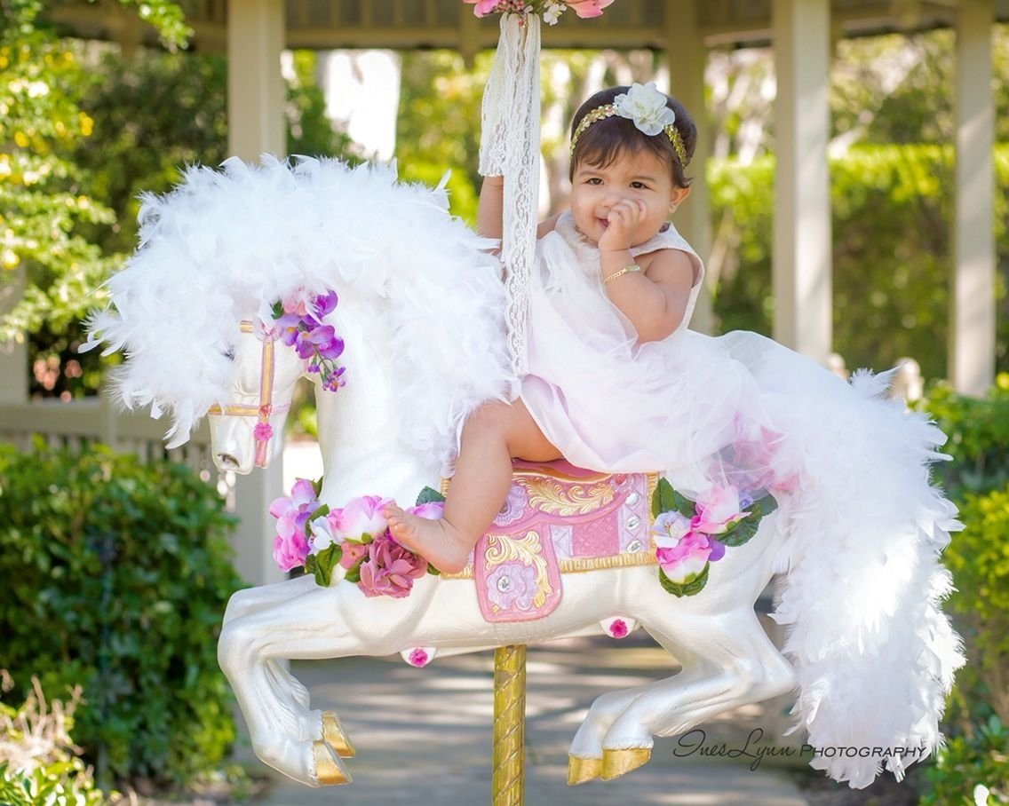 Baby Girl 1st Birthday Dress Ideas