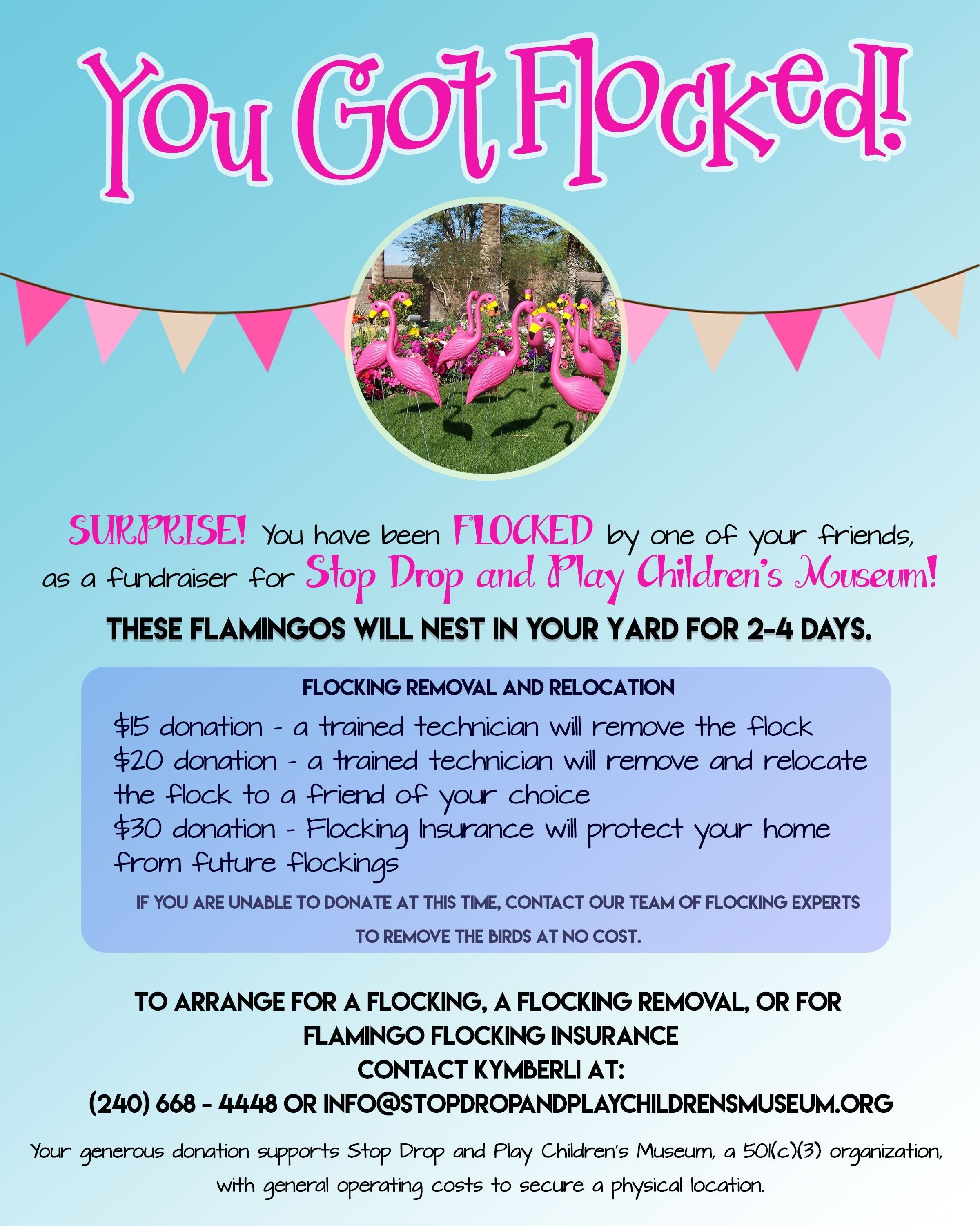 10 Nice Fundraising Ideas For Small Groups flamingo flocking fundraiser stop drop and play childrens museum 4 2022