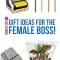 funky gift ideas for a female boss for under $20!