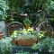 garden. the great cycle of life at gardening idea: gardening