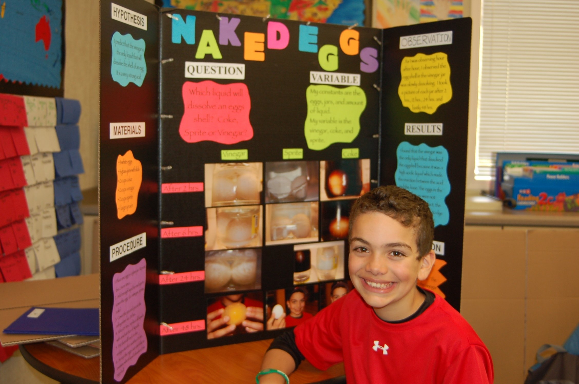 science fair project research