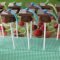 high school graduation party ideas pinterest | and, the desserts