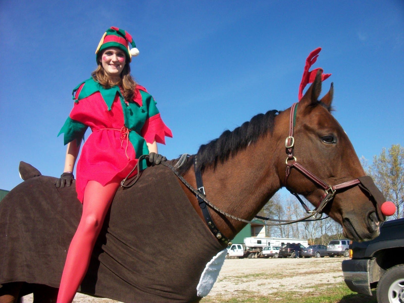 10 Spectacular Horse And Rider Costume Ideas horse and rider costume ideas pick crazy costume class rudolph 2022