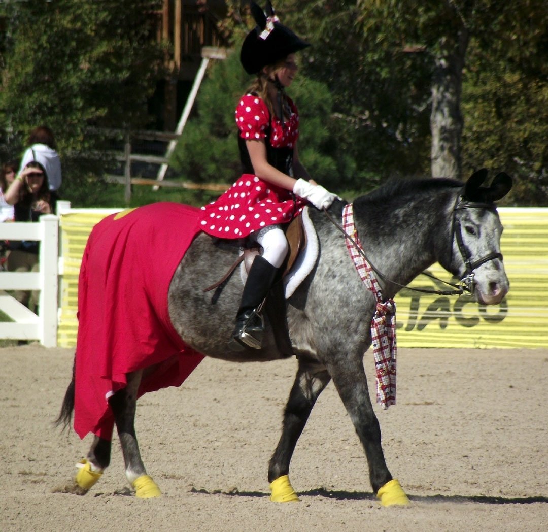 10 Spectacular Horse And Rider Costume Ideas horse and rider costumes horse fancy dress ideas minnie and 2022