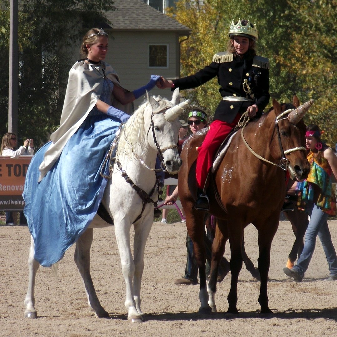 10 Spectacular Horse And Rider Costume Ideas horse fancy dress ideas cinderellla and prince charming horsey 2022