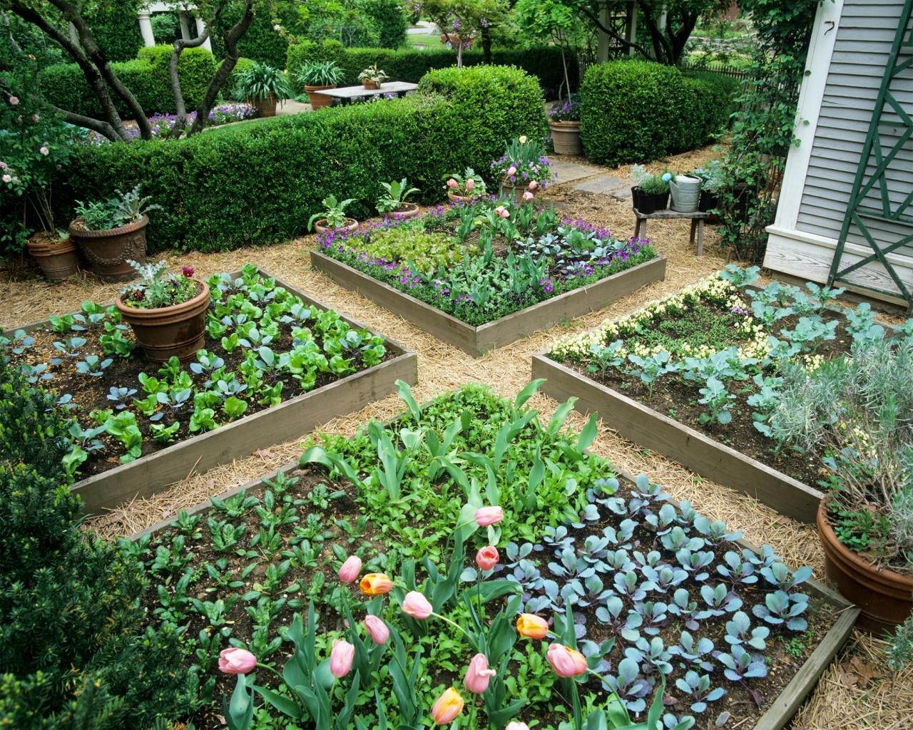 Garden Raised Bed Ideas Photos Cantik