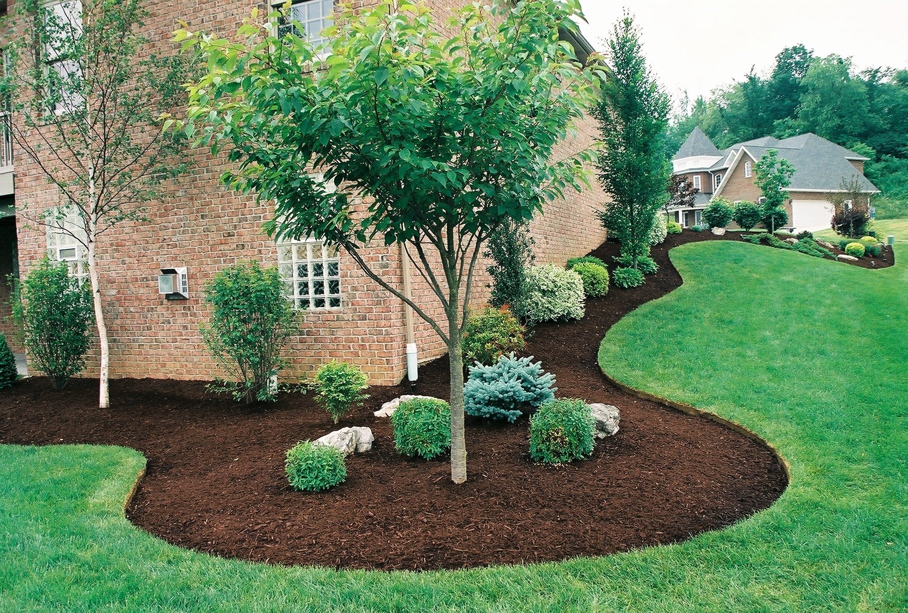 Ideas For Landscaping Around Trees Round Designs 