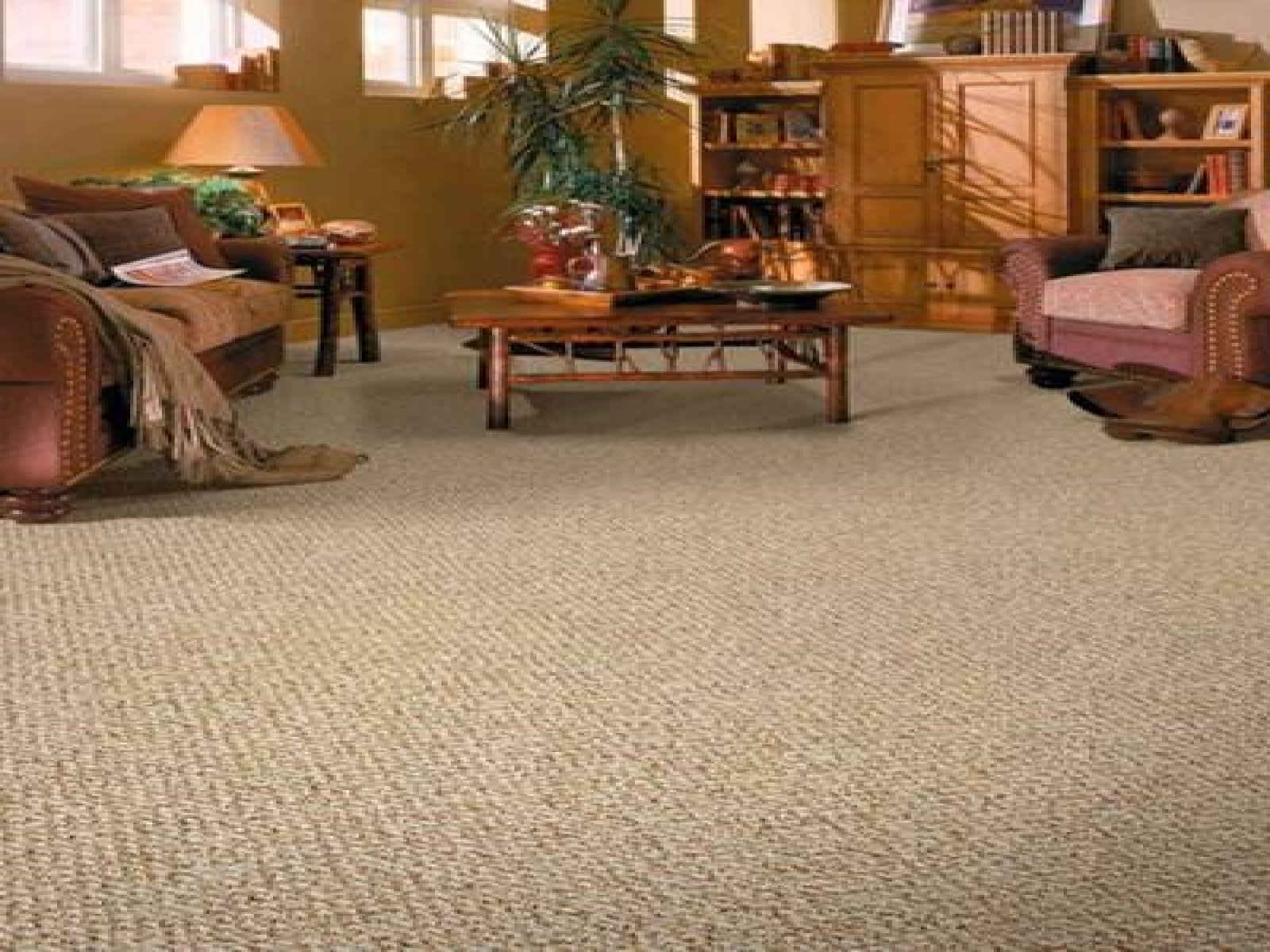 Living Room Wall To Wall Carpet Designs