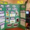 interesting first grade class science fair projects for your fun and