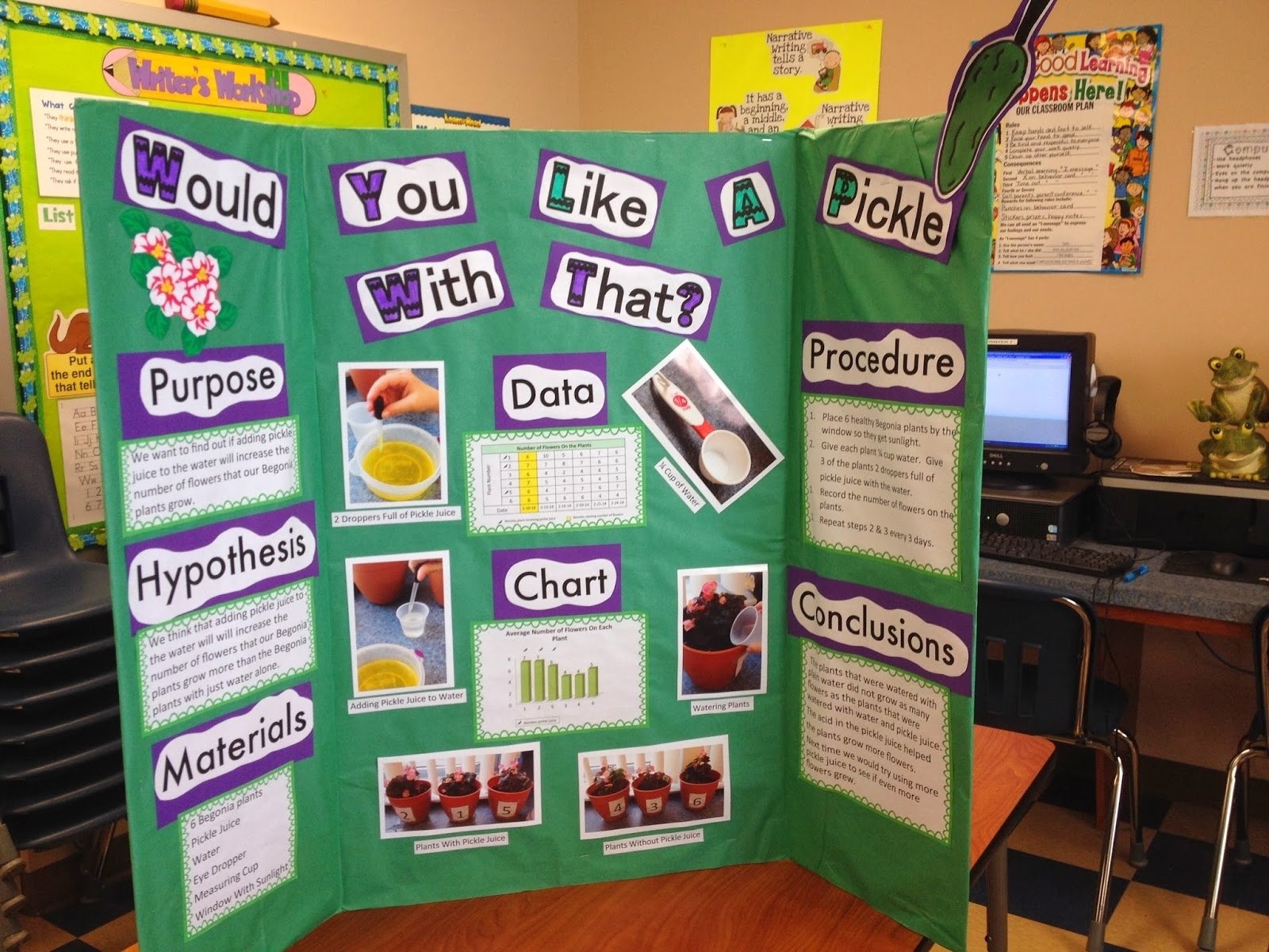 Science Fair Project Ideas For 5Th Grade 1St Place - asiandesignleaders