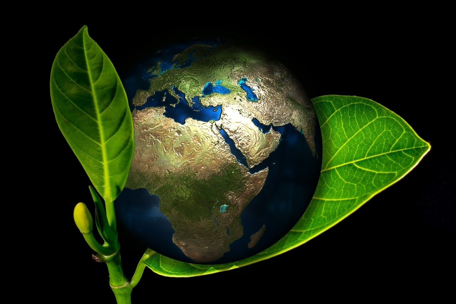 10 Most Popular Ideas To Make The World A Better Place its world earth day express your ideas to make earth a better place 2022