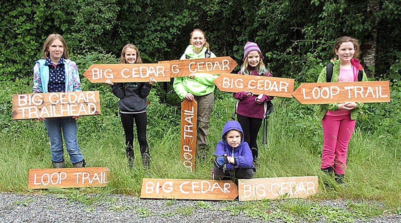 10 Fashionable Girl Scout Bronze Award Ideas junior girl scouts earn bronze award with big cedar trail 2022