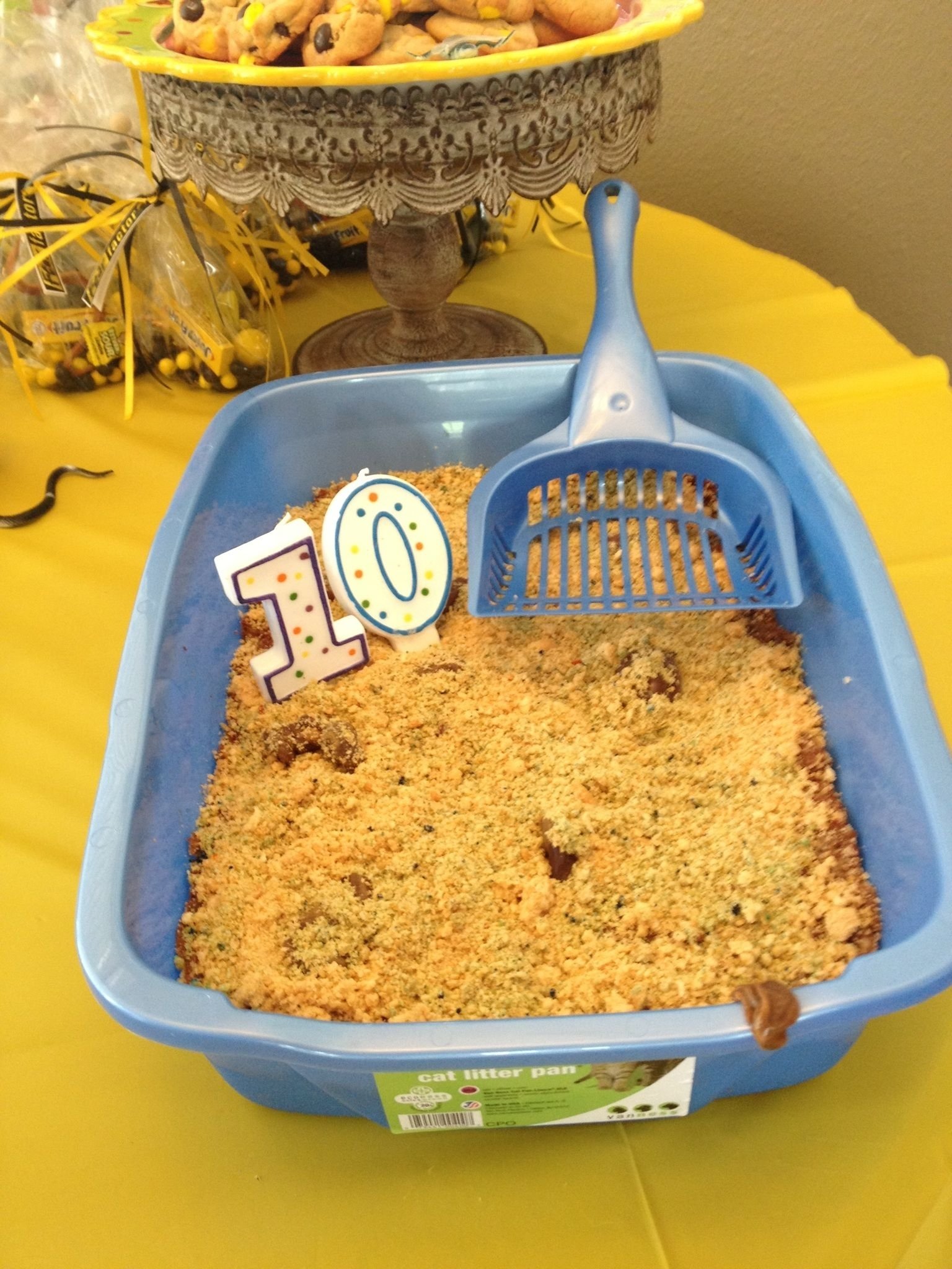 10 Most Popular Fear Factor Ideas For Youth kitty litter cake for karlis fear factor party fear factor 2022