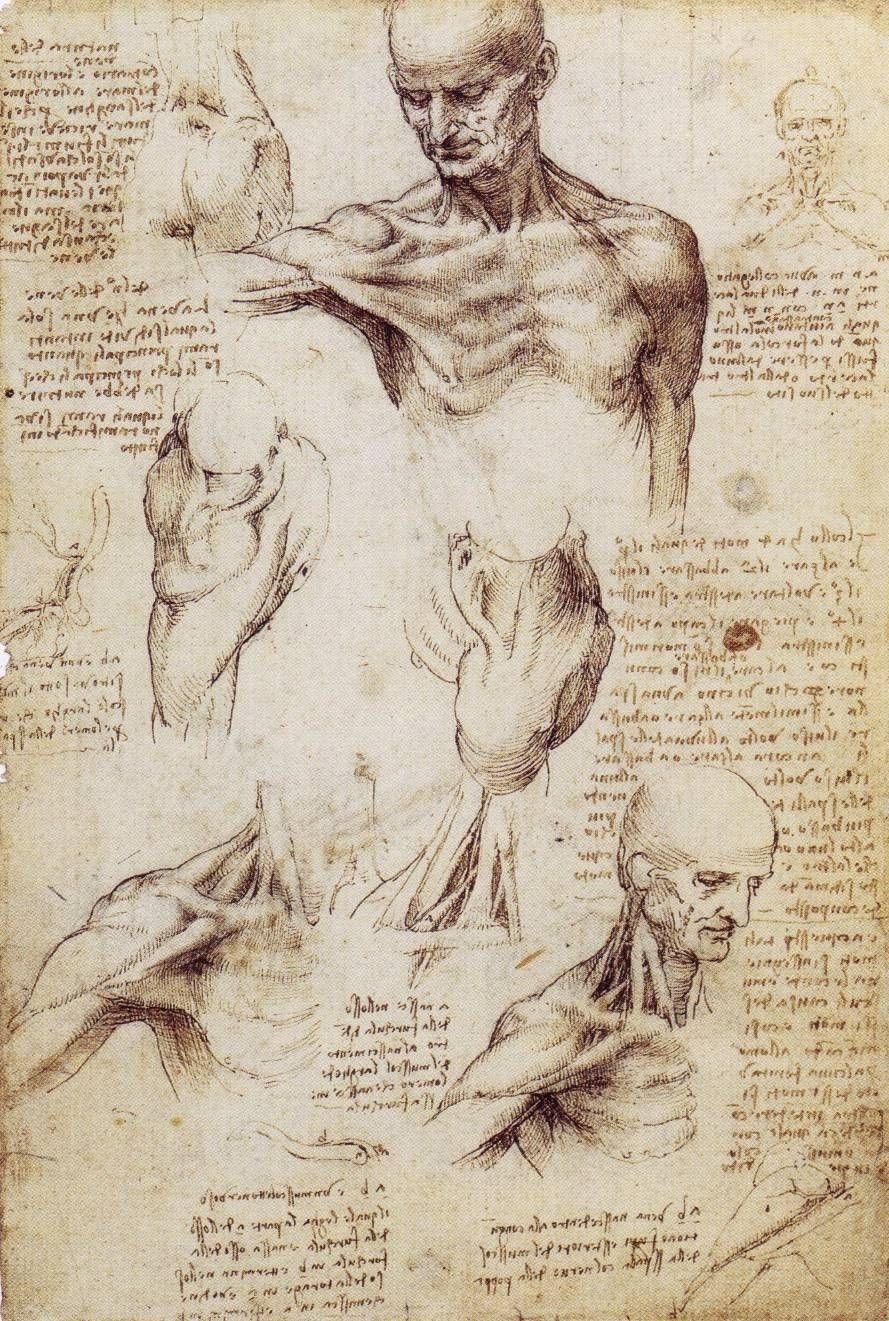 10 Nice Leonardo Da Vinci Used Drawings To Explore Ideas In leonardo da vinci art and science understanding the nature of light 2022