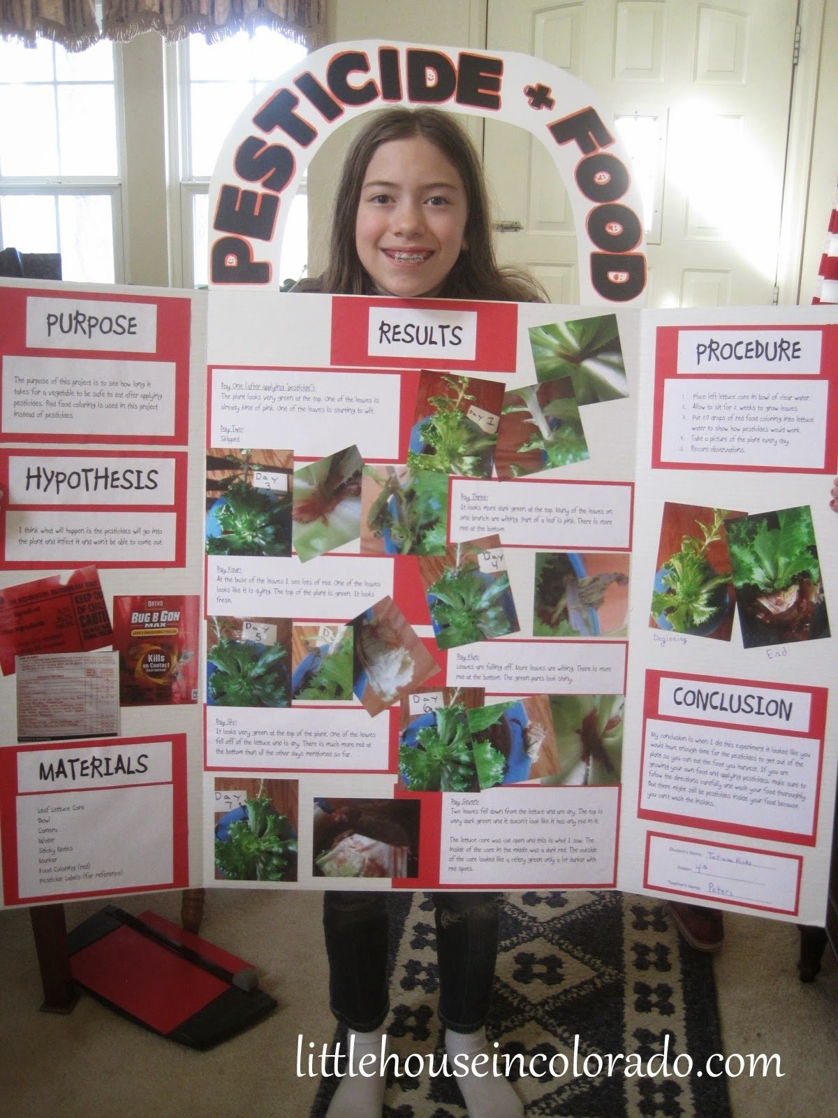 10 Unique Food Science Fair Project Ideas little house in colorado 4th grade science fair project pesticides 4 2022