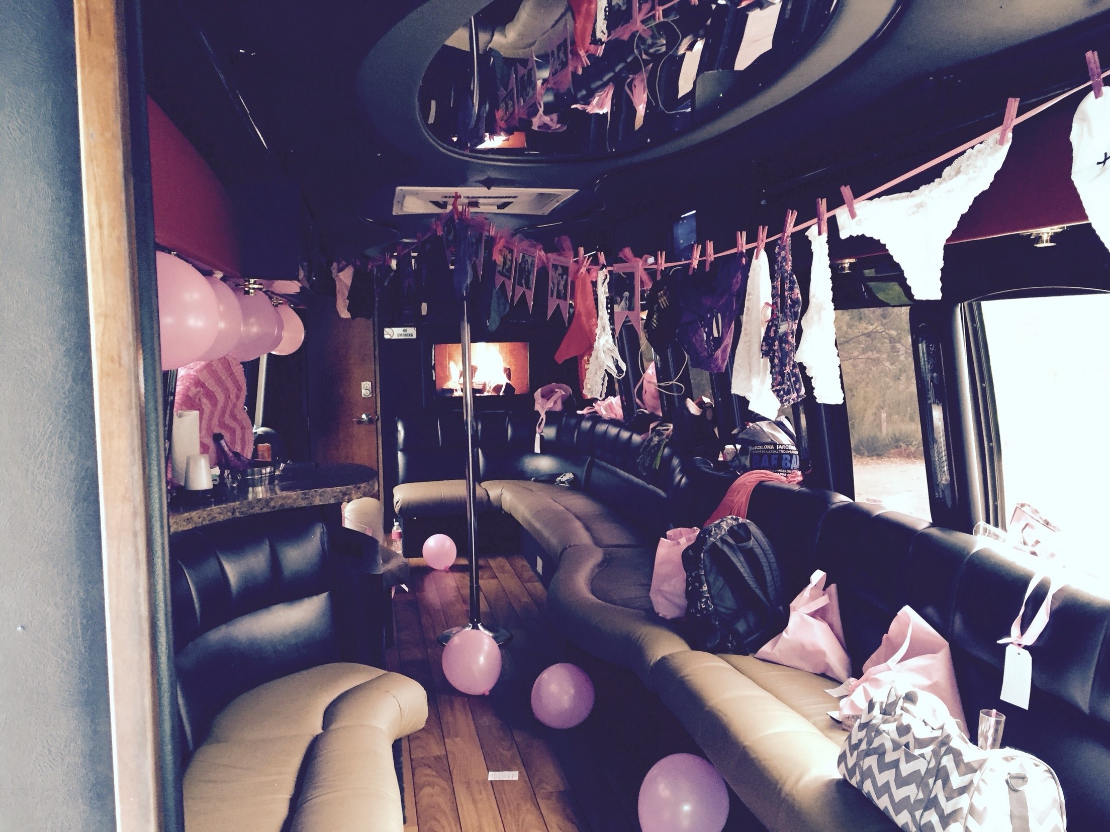 10 Stunning Bachelorette Party Ideas In Michigan michigan wine tour with your bachelorette group limos alive party 1 2022
