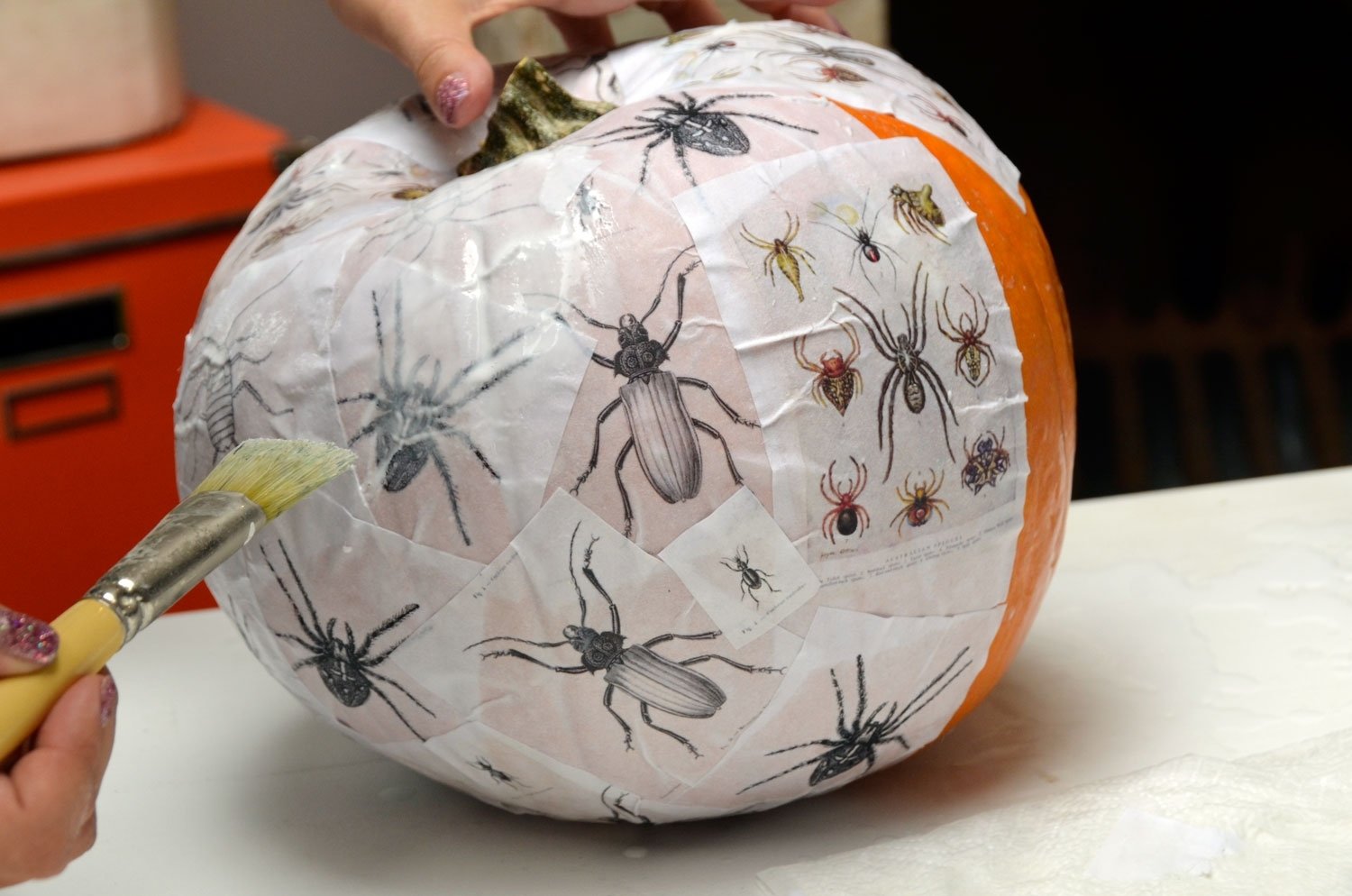 10 Most Recommended Non Carving Pumpkin Decorating Ideas mr kate diy no carve fall thanksgiving pumpkin decorating 2022