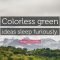 noam chomsky quote: “colorless green ideas sleep furiously.” (12
