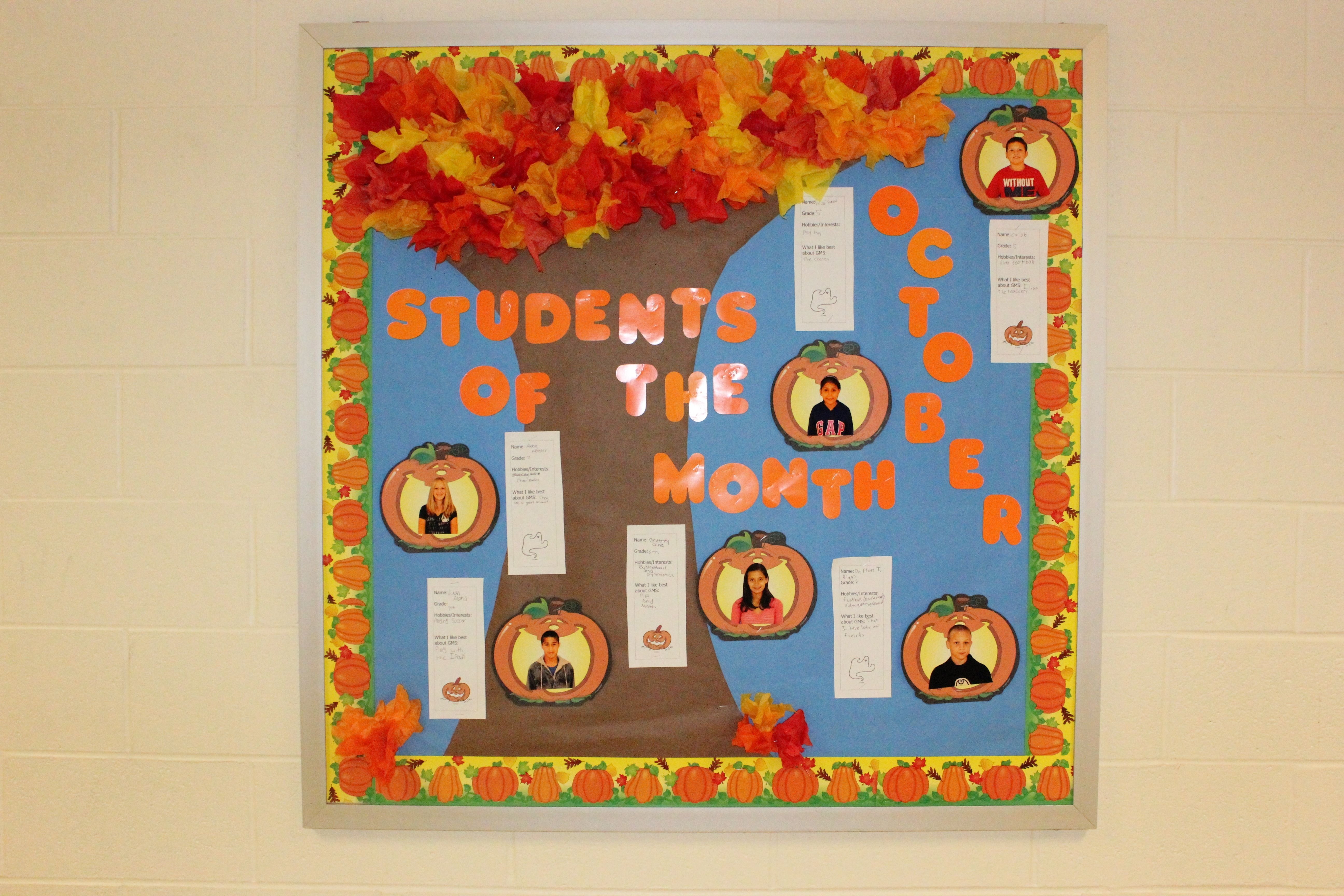 10 Attractive Student Of The Month Bulletin Board Ideas october bulletin board for student of the month school stuff 2022