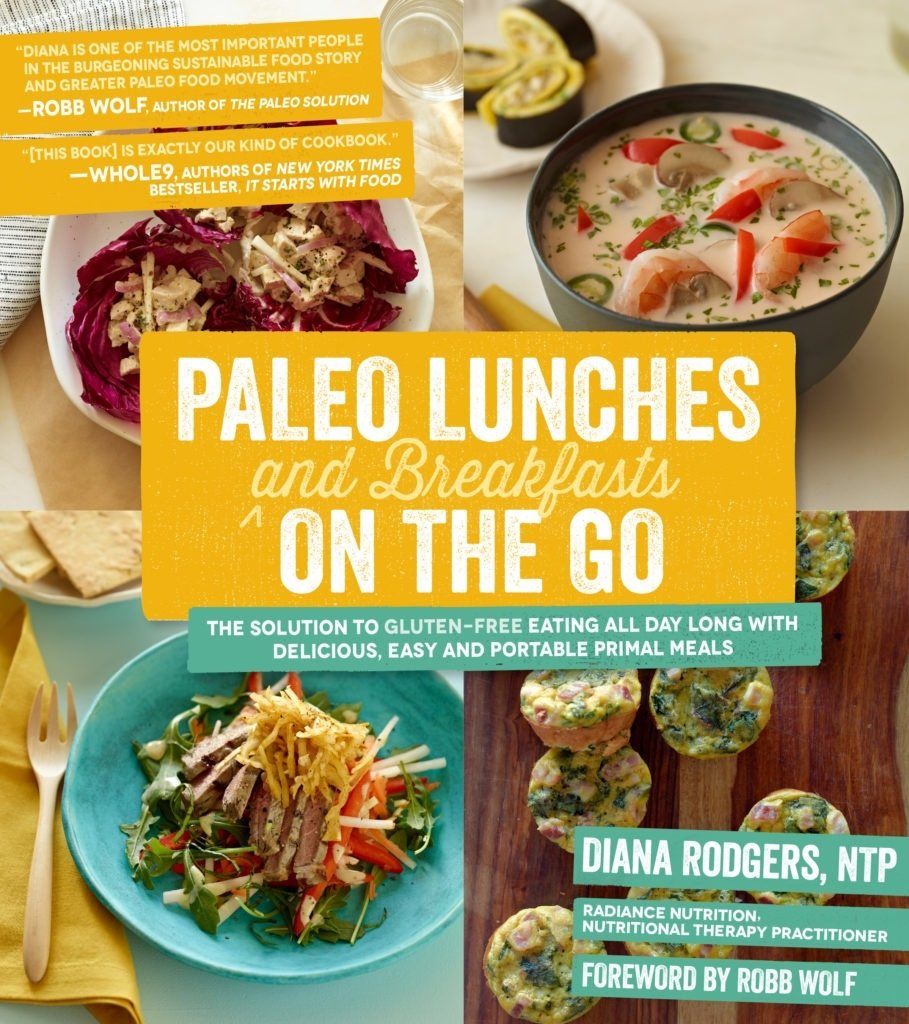 10 Perfect Paleo Lunch Ideas On The Go paleo lunches and breakfasts on the go sustainable dish 2022