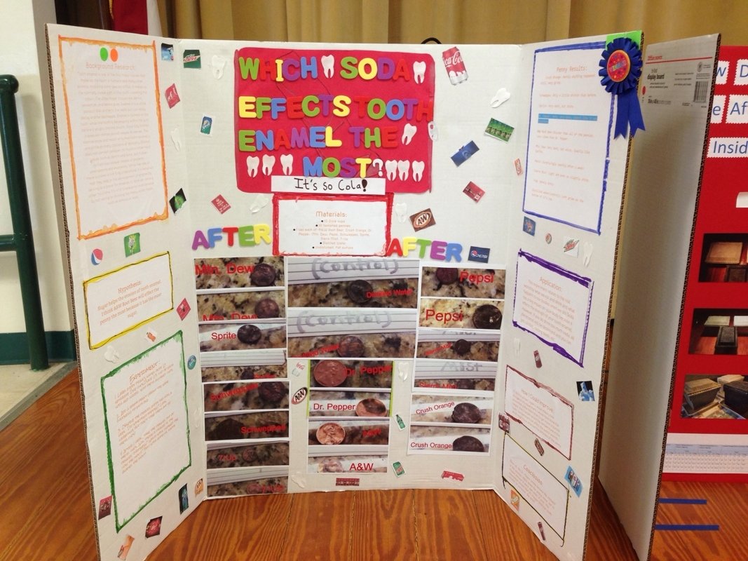 5th grade science project presentation