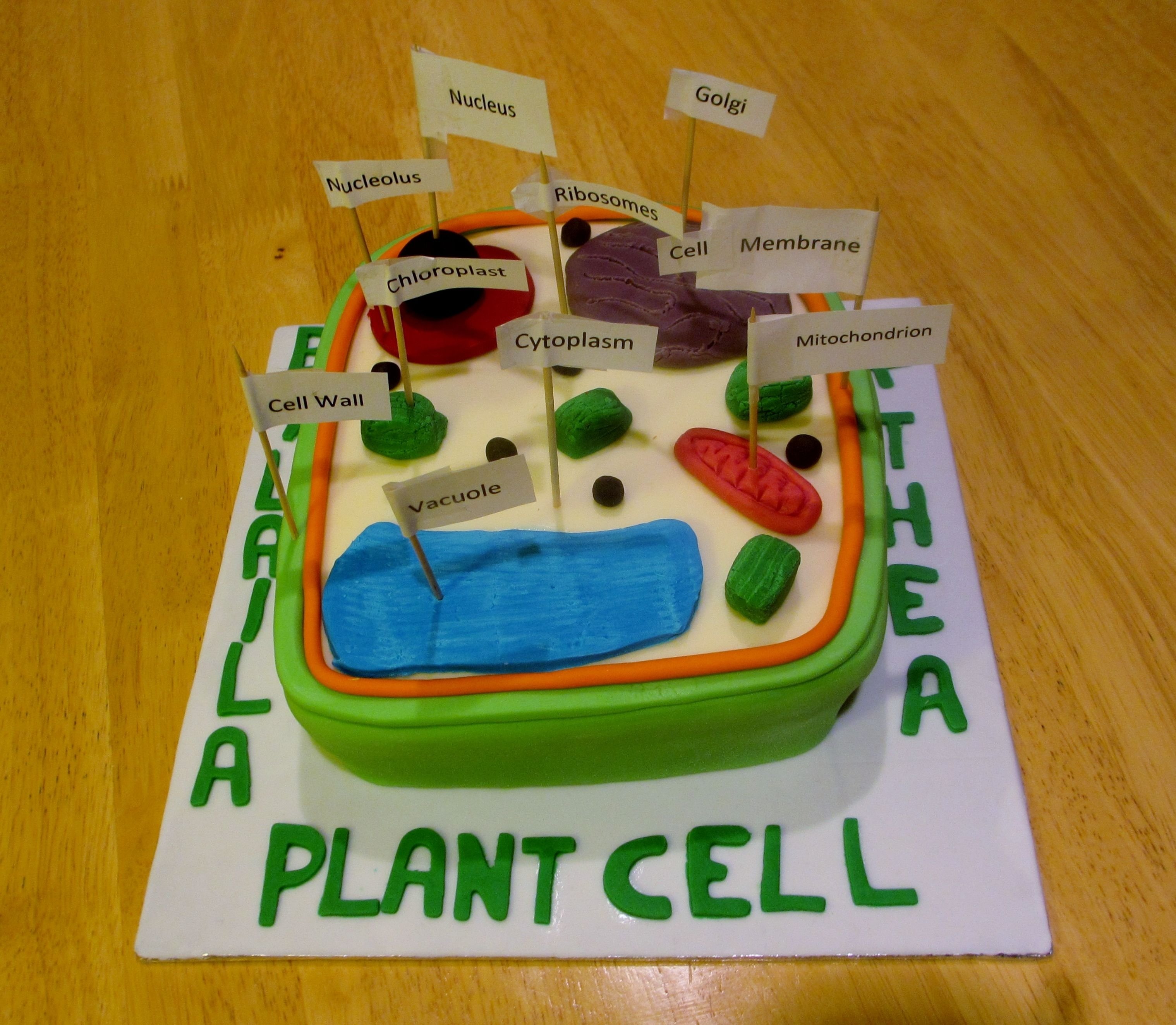 10 Ideal Edible Plant Cell Project Ideas plant cell biology homework diy crafts that i love pinterest 4 2022