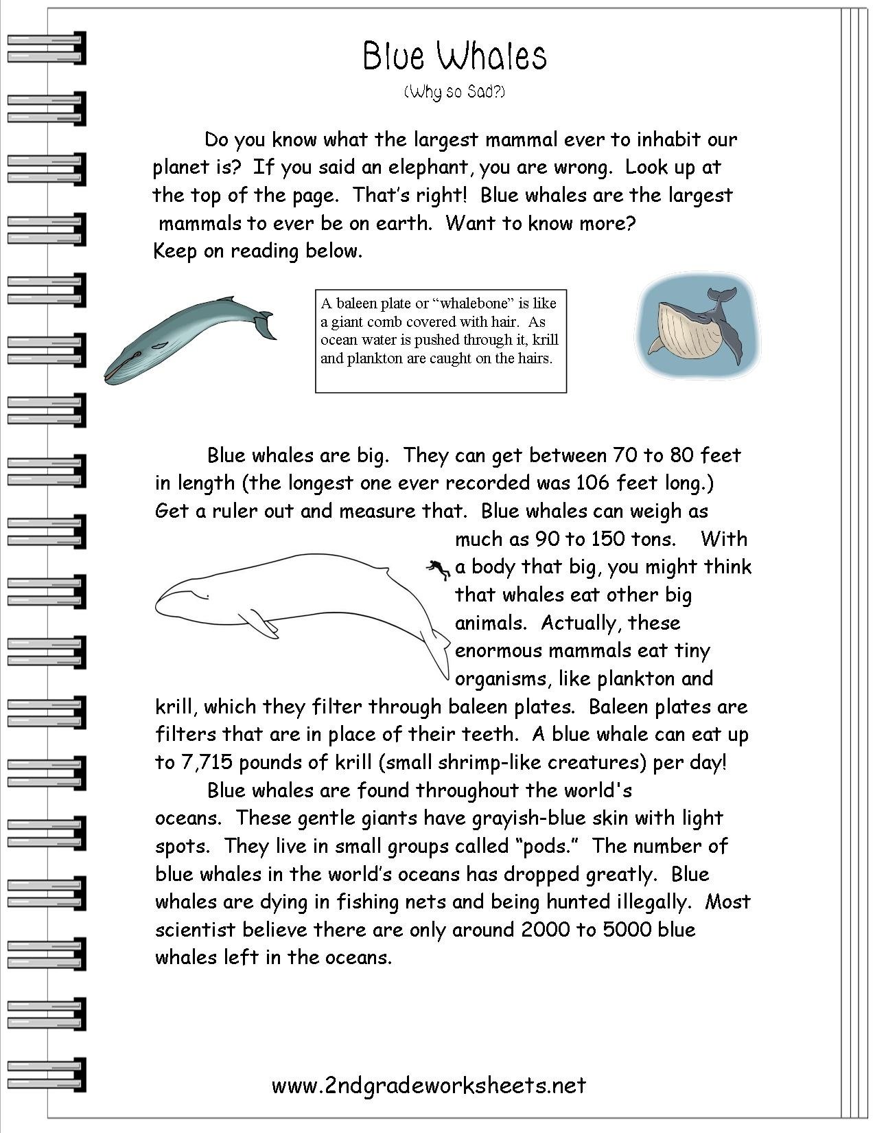 10 Attractive Main Idea Passages 2Nd Grade reading informational text worksheets 1 2022