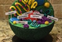 reed's 7th grade advanced science animal cell project 3d | reed's