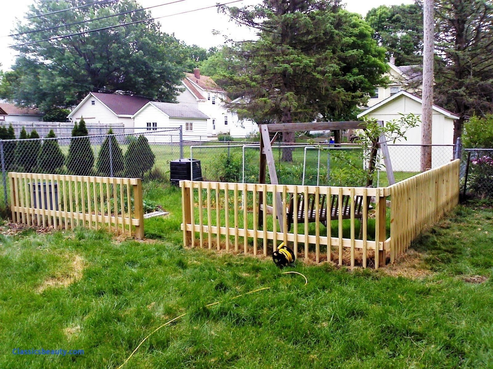 10 Stylish Cheap Fencing Ideas For Dogs 2023