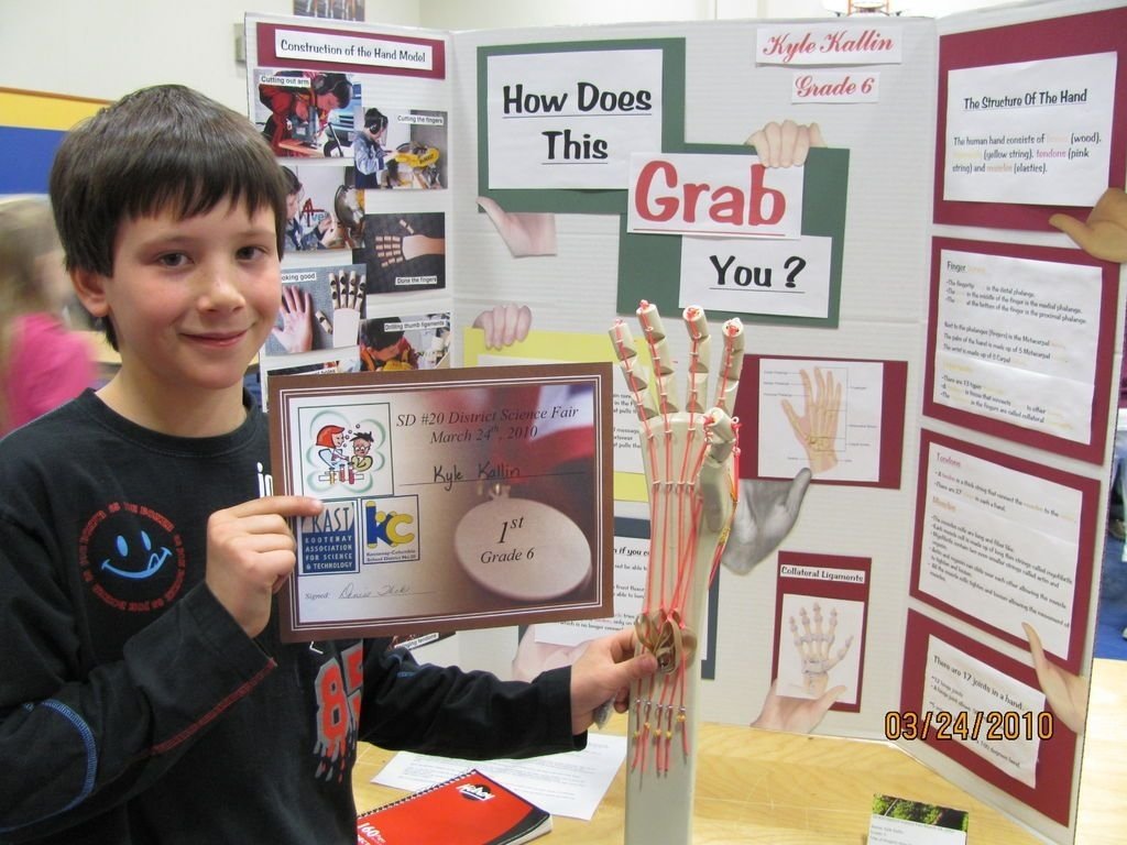 10 Famous Seventh Grade Science Project Ideas science fair articulated hand 20 science fair and fair projects 3 2022