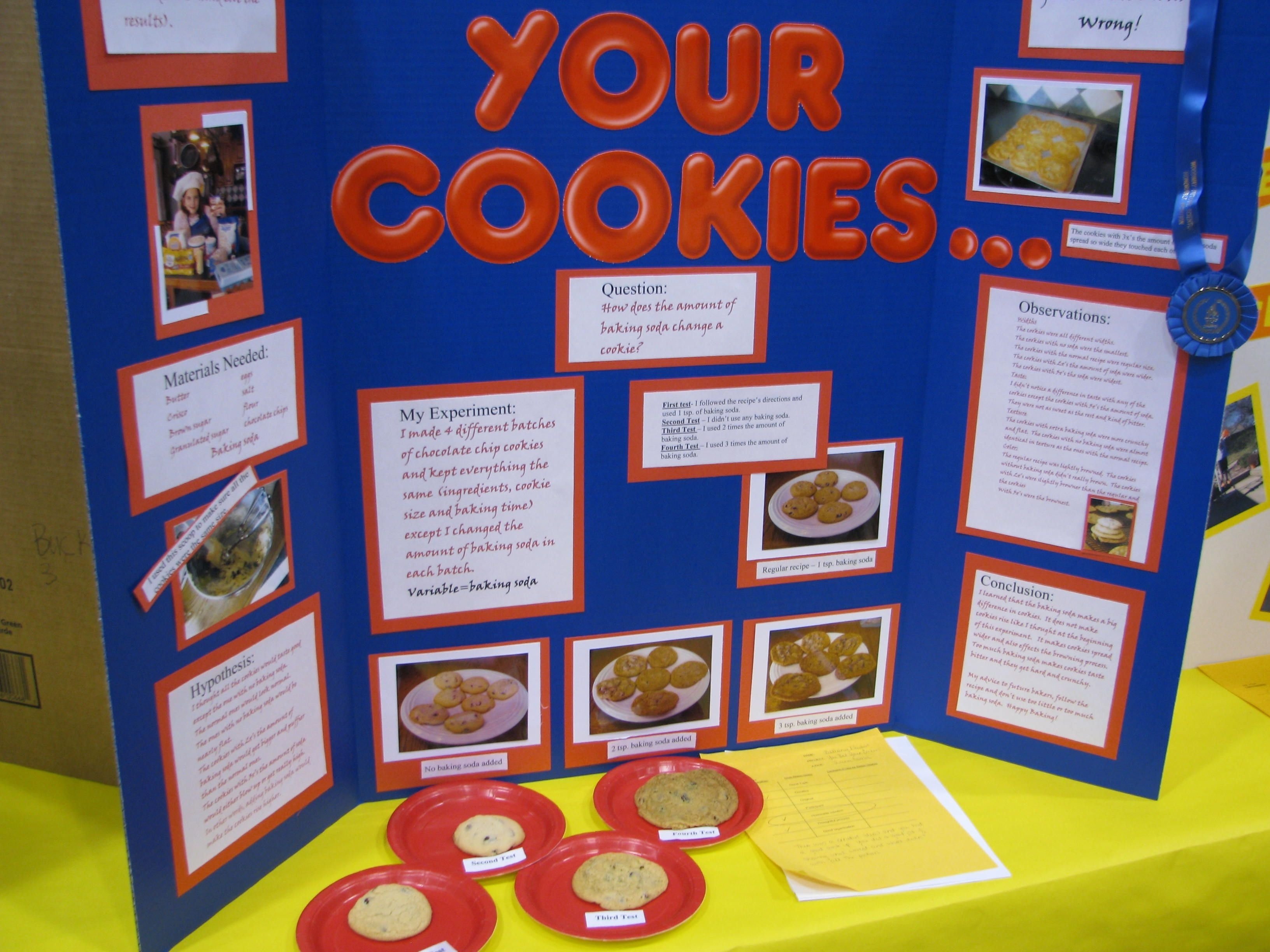 10 Gorgeous Interesting Science Fair Project Ideas science fair information science fair fair projects and science 13 2022