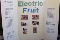 science fair projects | he estimated the lemon would, but actually