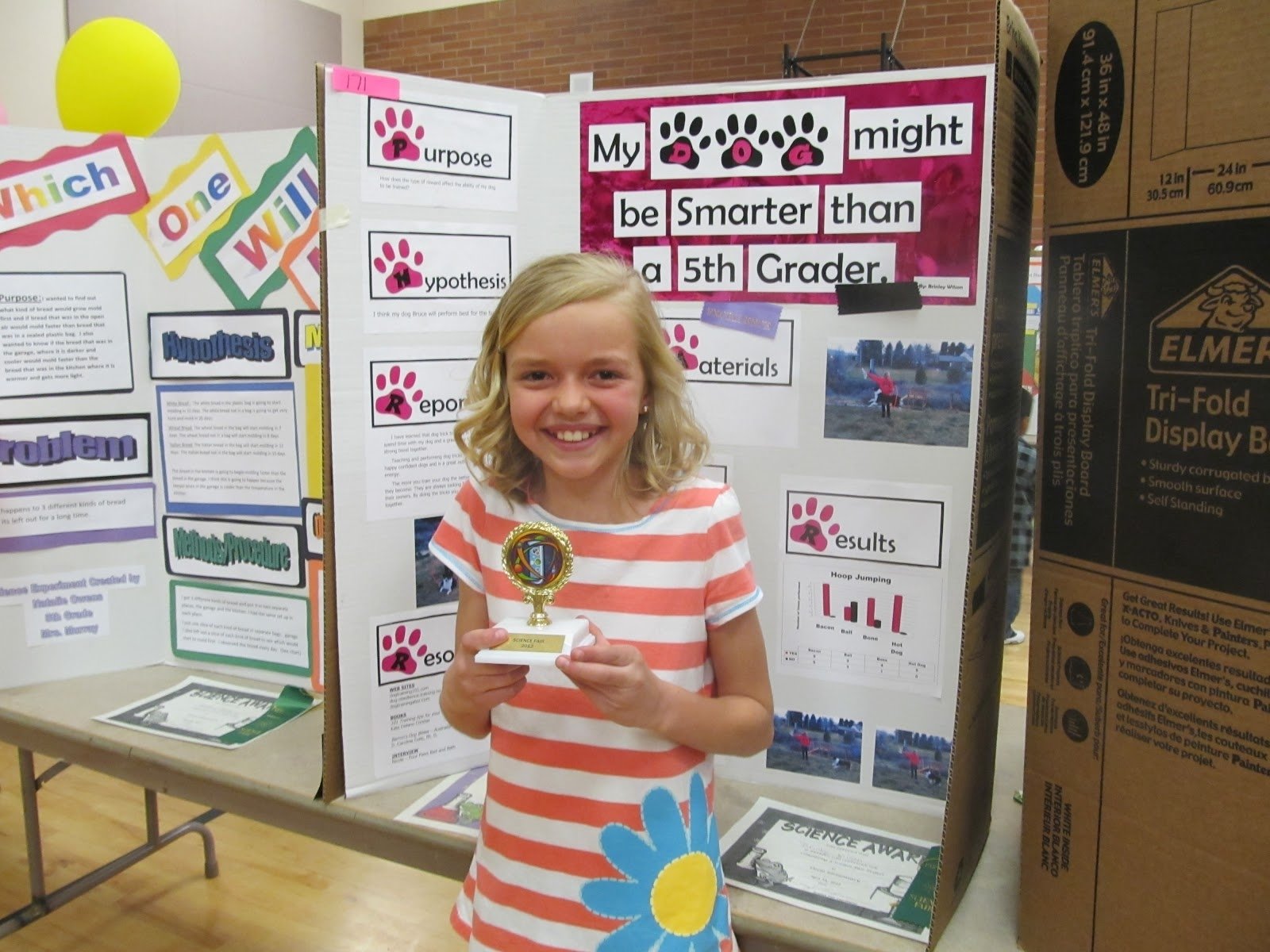 Best Science Projects For 5th Graders