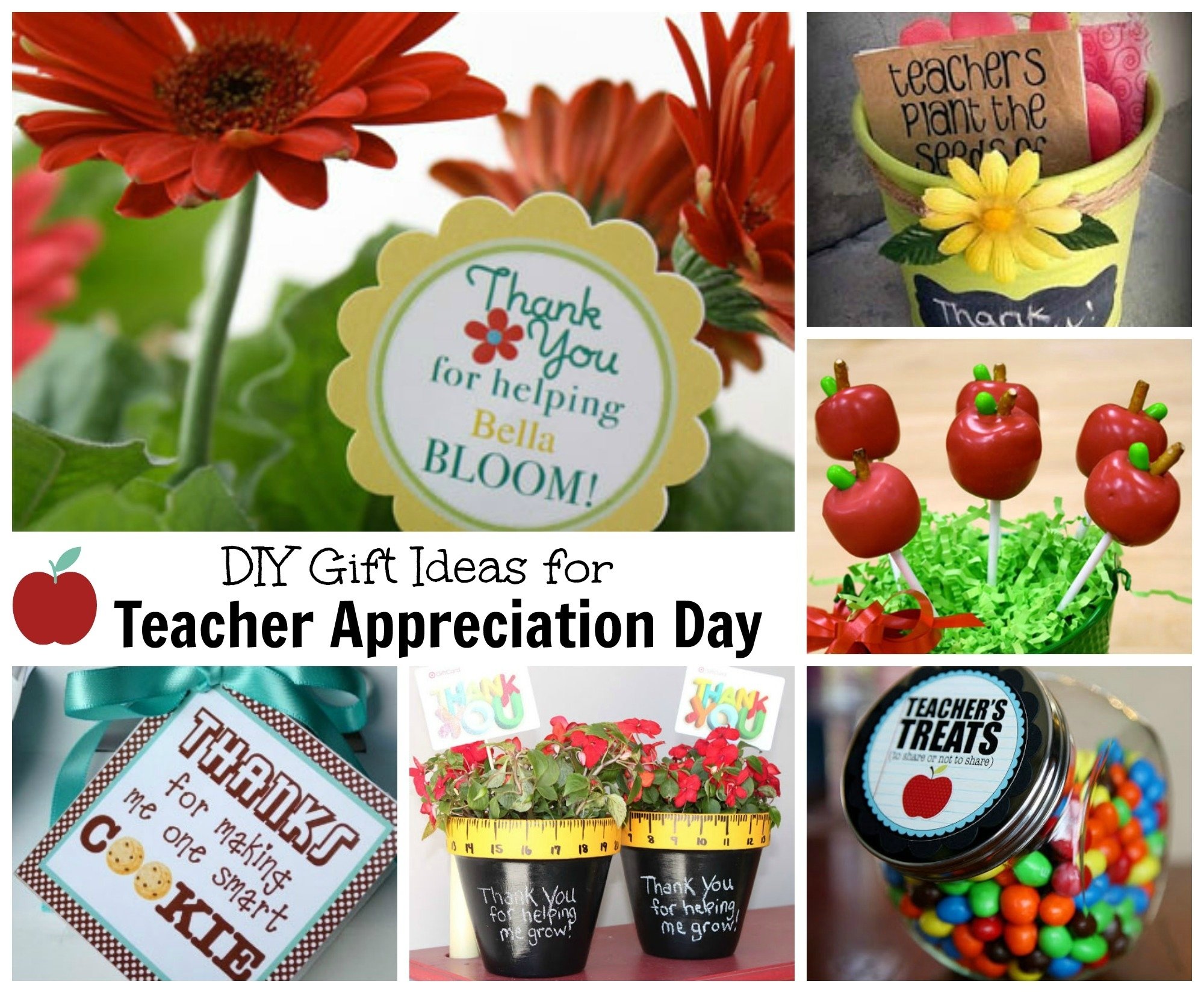 10-ideal-ideas-for-teacher-appreciation-day-2023