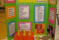 the science of my life: updated: declo science fair with newspaper