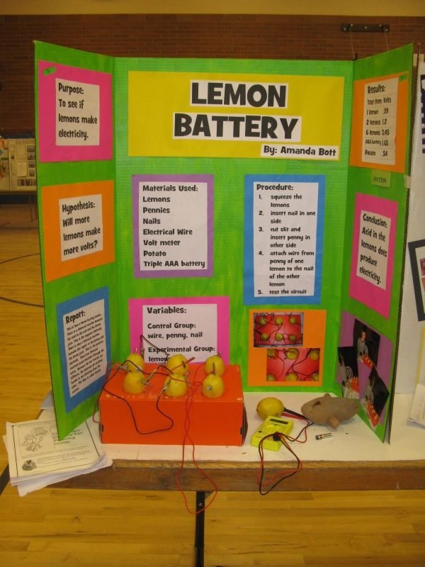 fun research project for middle school