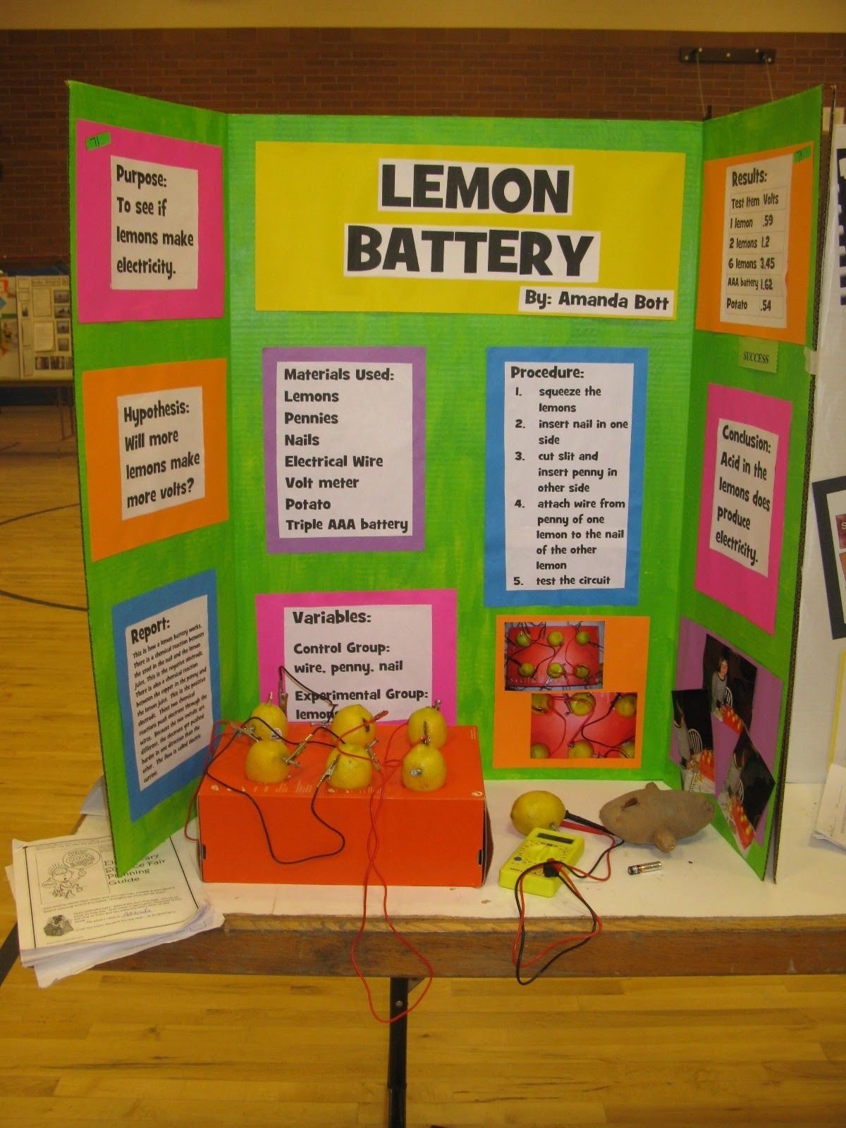 4th grade science fair hypothesis examples