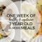 toddler meal ideas | one weeks worth of one year old (&amp; mommy) meals