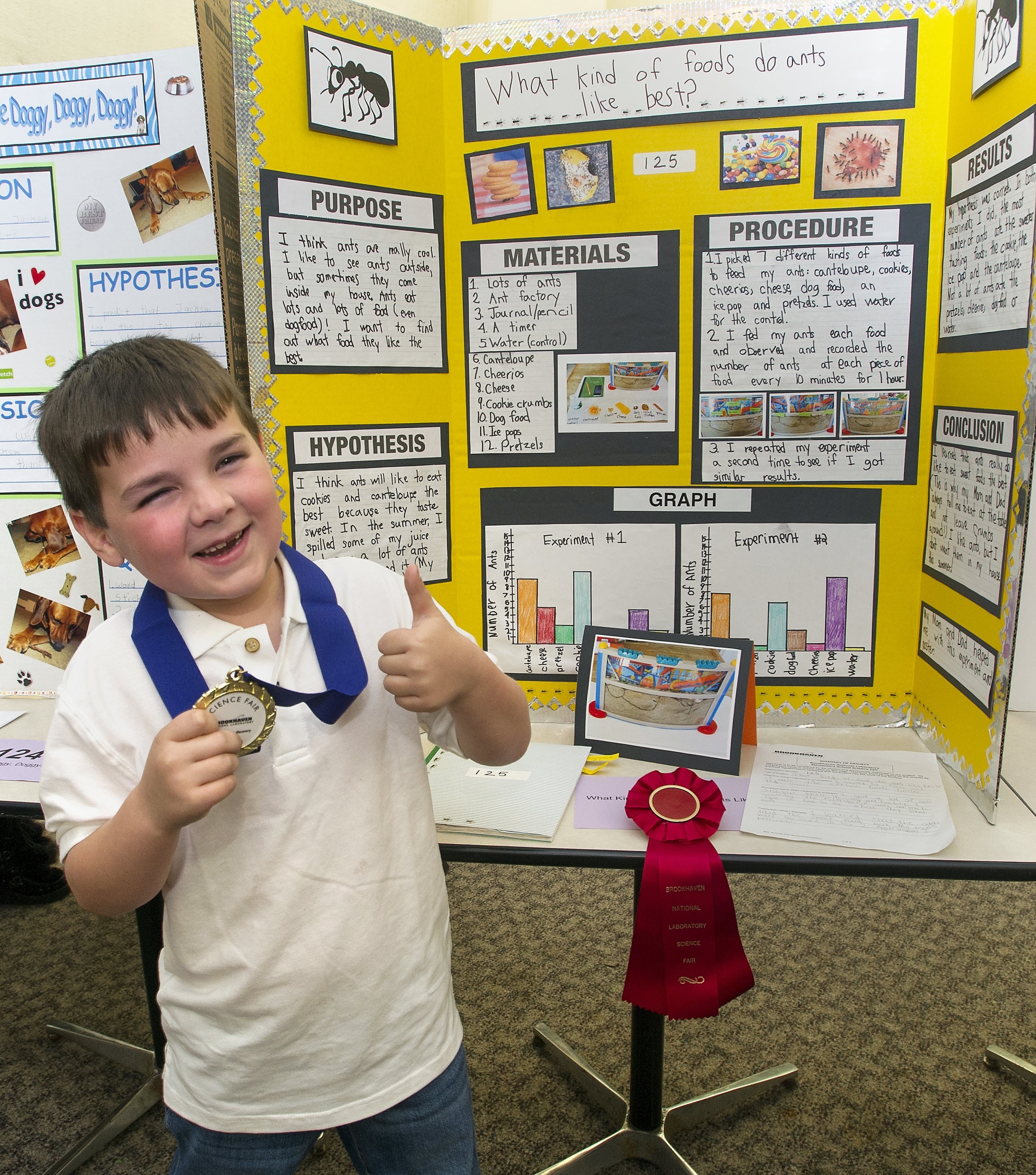Albums 98+ Images pictures of science fair projects Completed