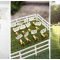 unbelievable cheap wedding ideas for spring your meme pics of in