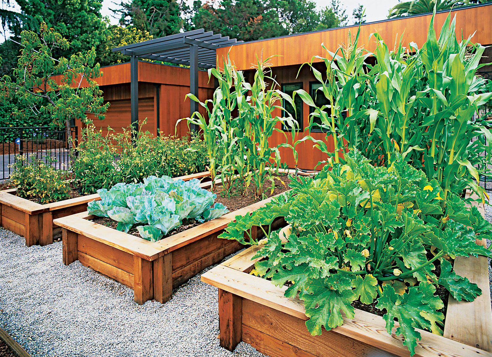 10 Great Front Yard Vegetable Garden Ideas 2020