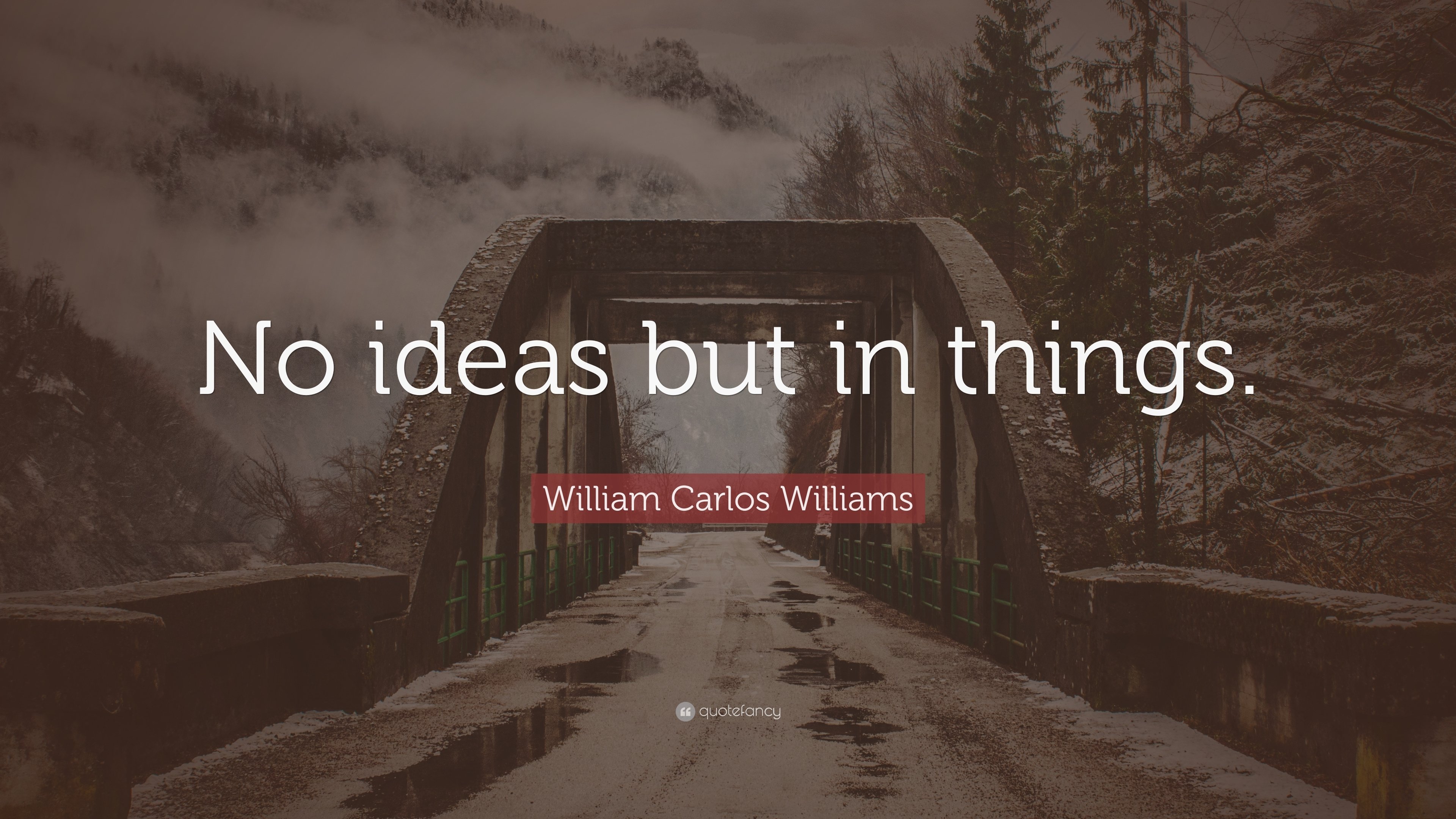 10 Fabulous No Ideas But In Things william carlos williams quote no ideas but in things 7 2 2022