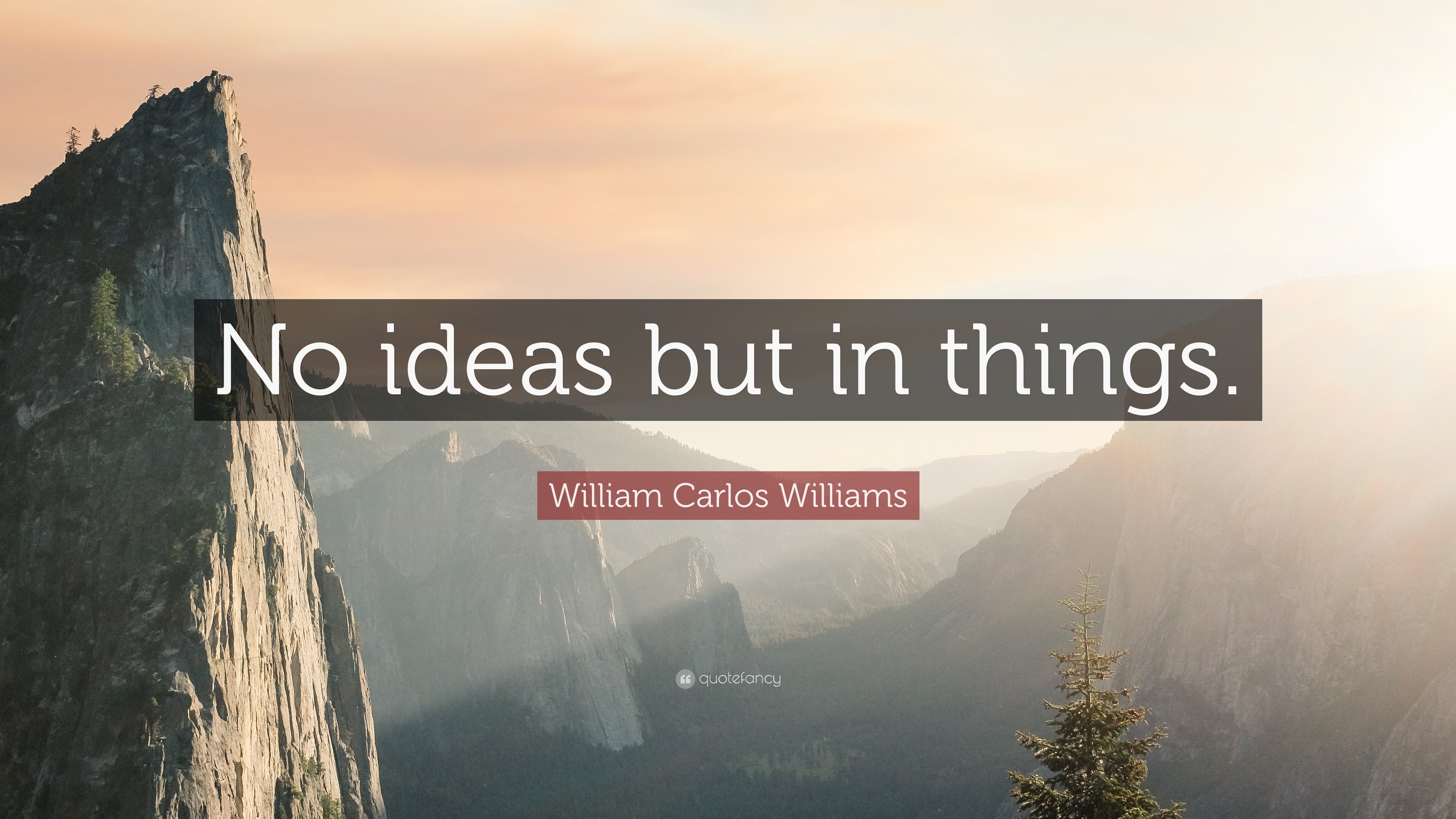 10 Fabulous No Ideas But In Things william carlos williams quote no ideas but in things 7 3 2022