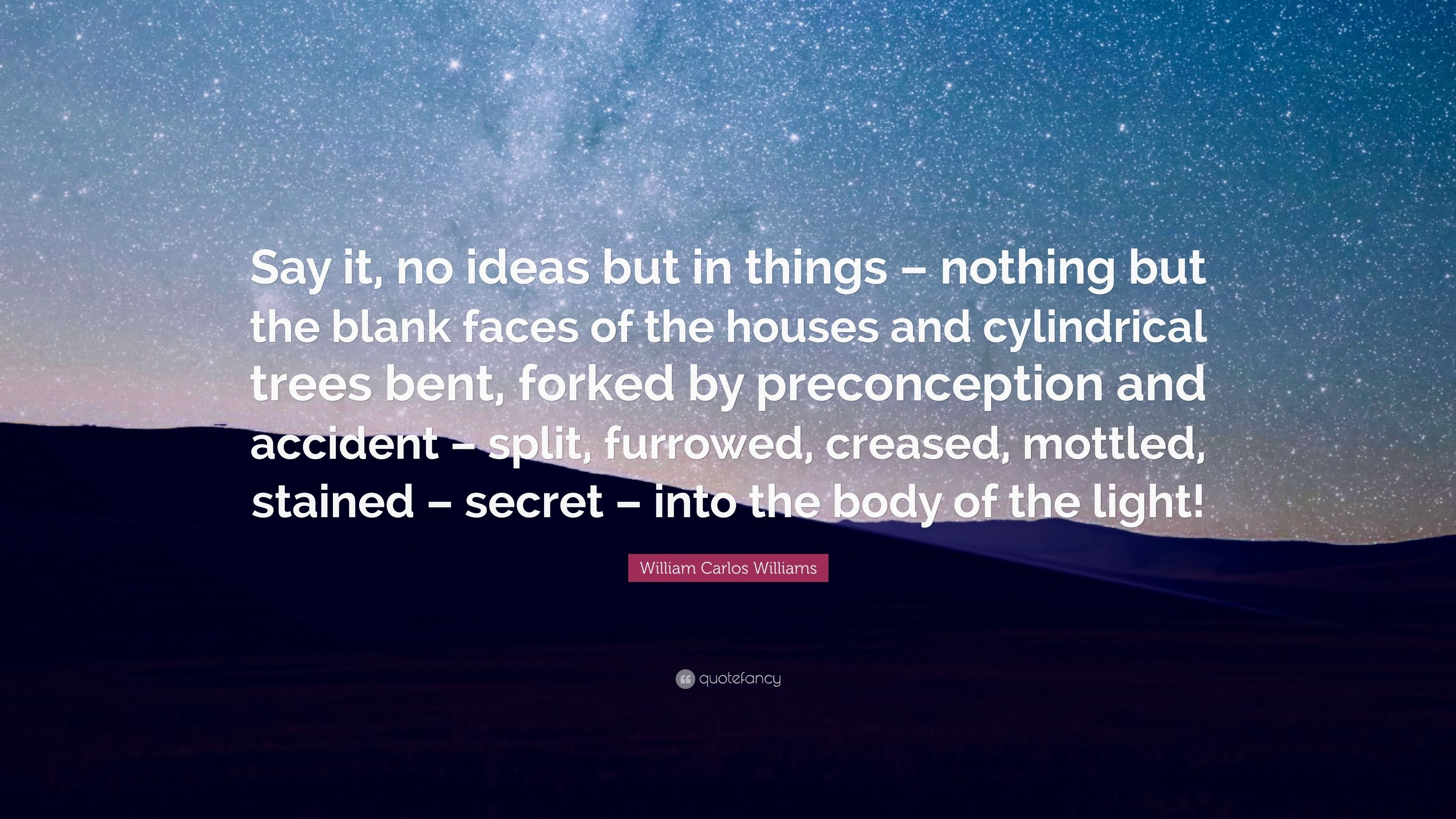 10 Fabulous No Ideas But In Things william carlos williams quote say it no ideas but in things 4 2022