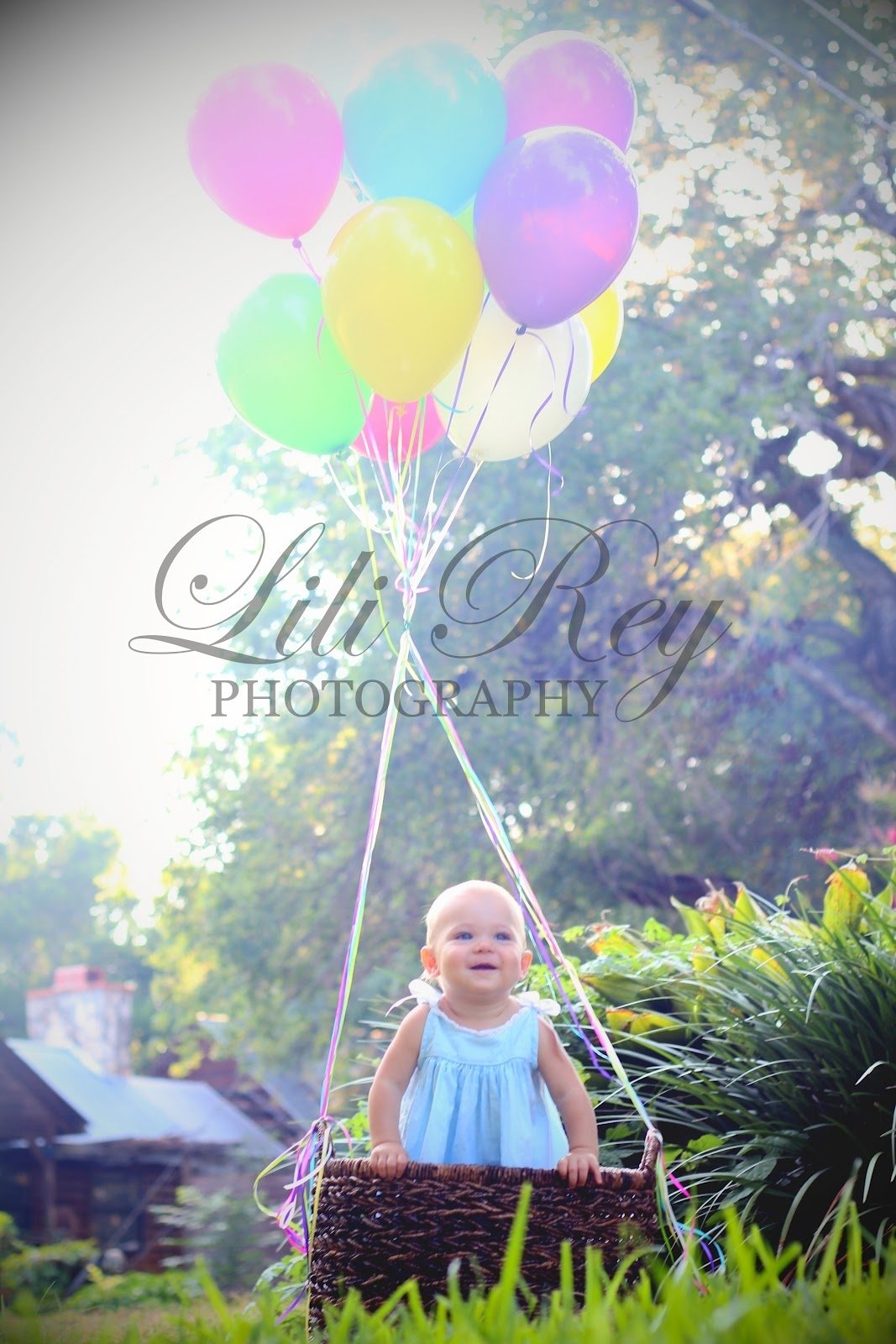 10 Attractive 1 Year Old Picture Ideas www lilireyphotography first birthday photo shoot katy tx 2022